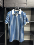 Blue Stripe V-neck Polo